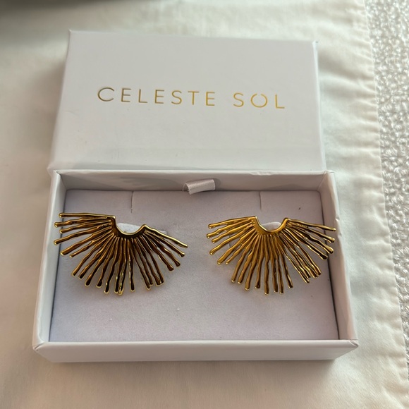 🆕 Gold Statement Earrings - Picture 3 of 3